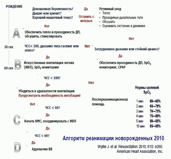 Методическое письмо по реанимации новорожденных 2020 в родовом зале